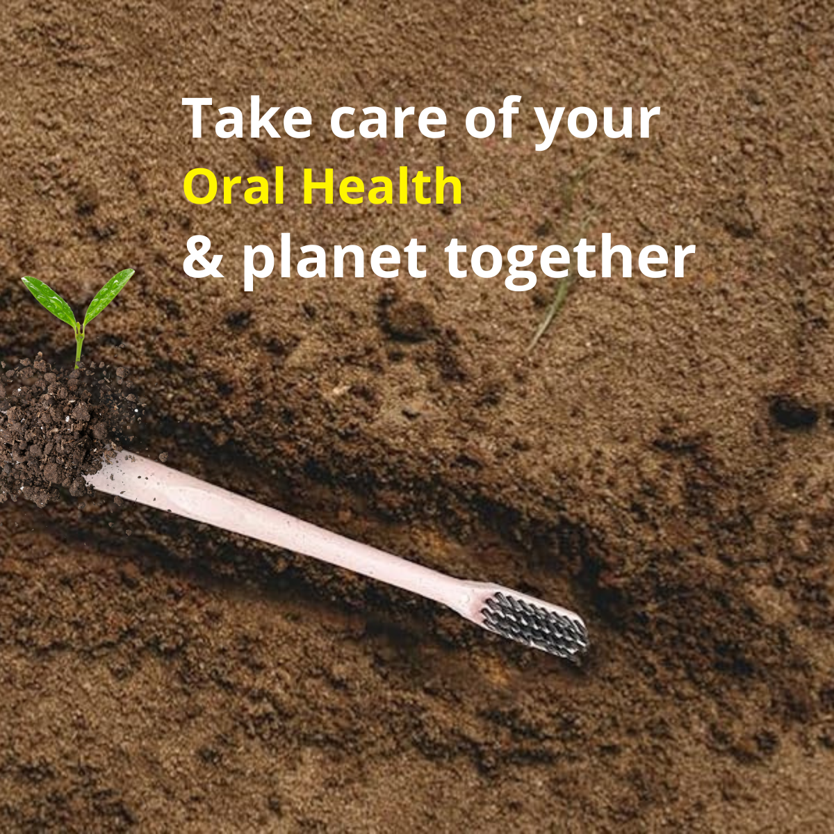 Eco Wheat Straw Toothbrush | Soft & Sustainable - Image 9