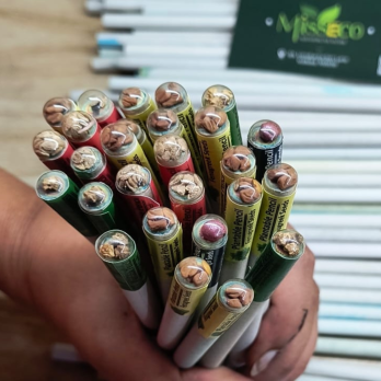Eco-Friendly Plantable Seed Pencil (Pack Of 20)
